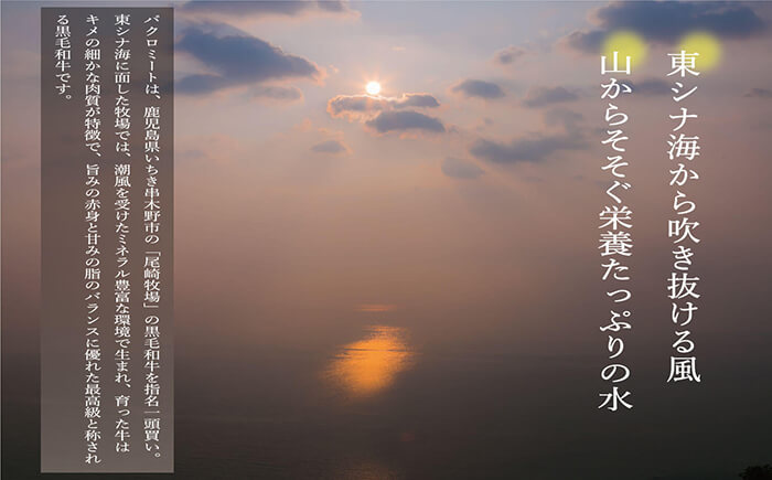 ＜定期便・全12回＞黒毛和牛づくし12ヶ月定期便！サーロインステーキやロース、切り落とし、ブロック、ハンバーグやもつ鍋など！牛肉を1年間定期便でお届け！【バクロ】【E-142H】