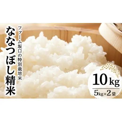 《令和8年産》お米 ななつぼし精米 10kg (5kg×2袋)｜米 精米 北海道 岩 見沢市 ファーム坂口の特別栽培米