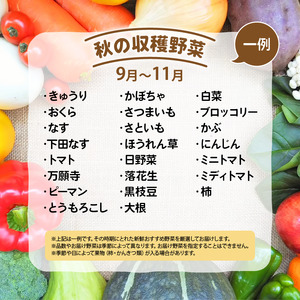 【3ヶ月定期便】 竜王町産 野菜 詰め合わせ セット 野菜セット 野菜 詰め合わせ 野菜 季節 定期 3回 野菜ソムリエ 厳選 採れたて やさい 10～14品