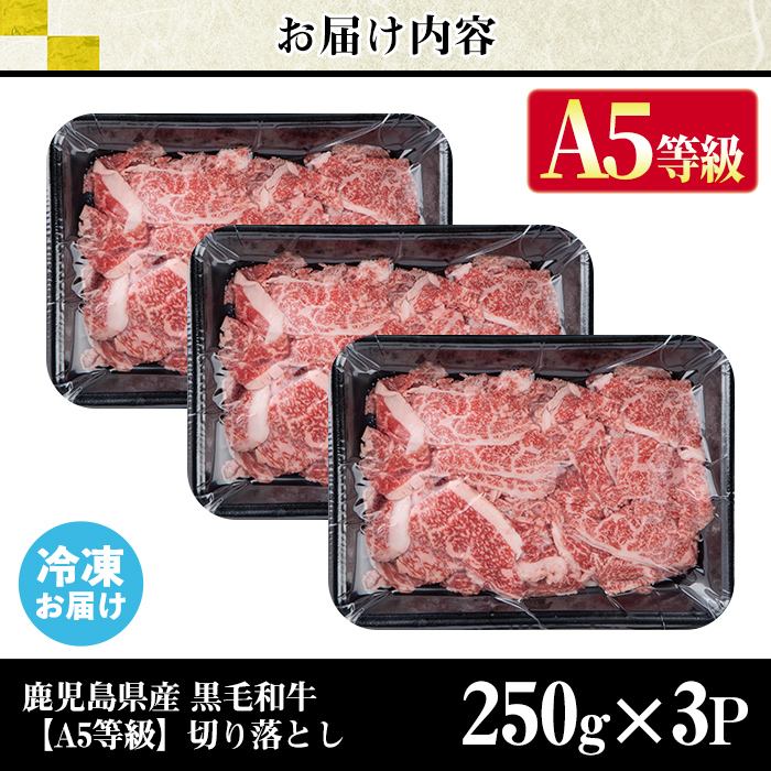 s629 【A5等級】鹿児島県産黒毛和牛切り落とし(計750g・250g×3パック)  鹿児島 国産 黒牛 牛肉 九州産 霜降り 切落し  A5等級 小分け お肉 【カミチク】