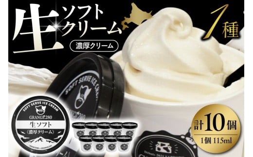 生ソフトクリーム【濃厚クリーム】計10個 tt013-009