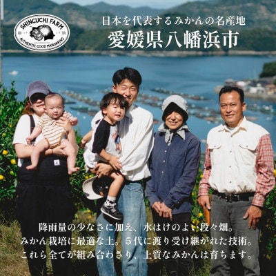 創業百八年 愛媛みかんの老舗【伊予柑10kg】【新口農園】【D70−13】【1470714】