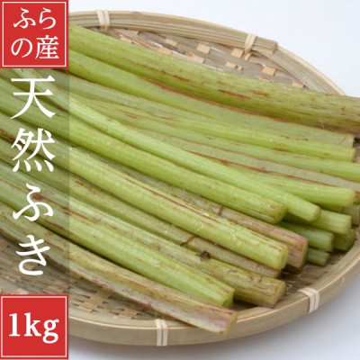 
北海道富良野産　天然物 蕗 (ふき)1kg【1522299】
