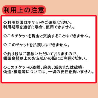 旅行 松山に泊まろう！松山宿泊14施設と伊予鉄タクシーで利用可能なチケット15,000円分イベント 体験 愛媛県松山市 愛媛県 松山市 愛媛 松山 常温 常温便 常温配送 常温発送
