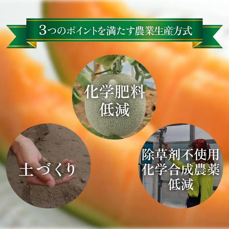【先行予約】【赤肉】秋 アールスメロン 2玉（計約3.2kg以上）赤肉品種 高級メロン！ ／ マスクメロン 大玉 果物 フルーツ 夏 ギフト 農家直送  ※2026年9月中旬以降発送  [aw065-