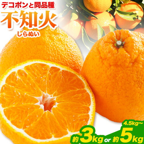 【ふるさと納税】 不知火 約3kg または 約4.5kg〜5kg 《2月下旬-4月下旬頃出荷》熊本県産 (荒尾市産含む) 柑橘 フルーツ フレッシュフーズ 不知火 果物 デコポン と同品種 送料無料 果物 しらぬい 旬 オレンジ みかん 5kg