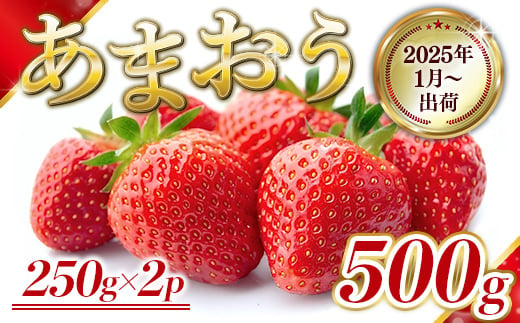 
福岡県産 あまおう 500g　先行予約 2025年1月より順次発送　BA003
