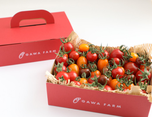 
香TOMATO3キロ<OGAWA　FARM>
