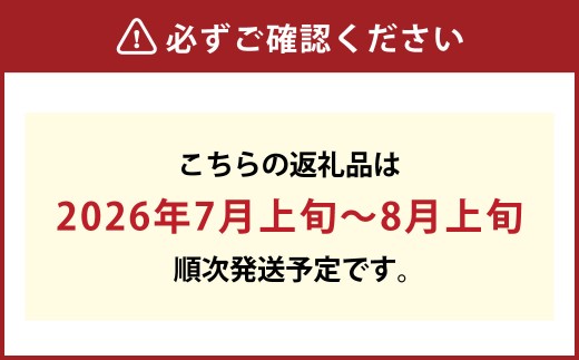果物詰合せ（岡山白桃 2玉（1玉 260g以上）《等級：ロイヤル》・ニュー ピオーネ 1房 （580g以上））【2026年7月上旬～8月上旬 発送予定】【もも 桃 ピオーネ ぶどう 果物 フルーツ 国