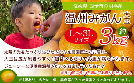 ＜訳あり 温州みかん 大玉 約3kg＞ 明浜産 果物 フルーツ みかん 蜜柑 ミカン うんしゅうみかん ウンシュウミカン オレンジ 柑橘 家庭用 食べて応援 特産品 浜のみかん屋 直送 愛媛県 西予市