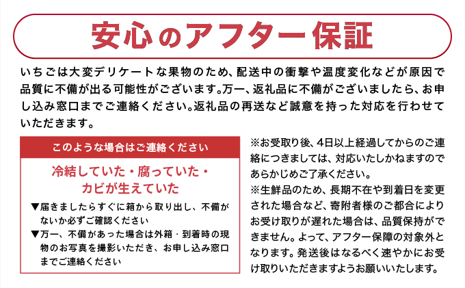 【先行予約】数量限定 いちごさん＆さがほのか食べ比べセット ★贈り物にも最適★ B-1093-KN_イメージ5