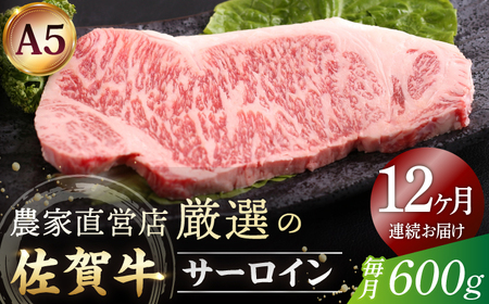 【全12回定期便】佐賀牛 A5 サーロイン ステーキ 600g（300g×2枚）【山下牛舎】[HAD068]黒毛和牛 牛肉 肉 ステーキ用 ロース 定期 定期便