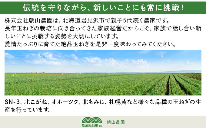 【先行予約】畑から直送の新鮮野菜！玉ねぎ（SN-3）10kg【a168-002】