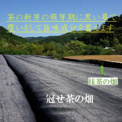 ふるさと納税 大牟田市 奥八女の新緑の風薫る・特上深蒸し茶薫風(冠せ茶) 100g×3本 |  | 03