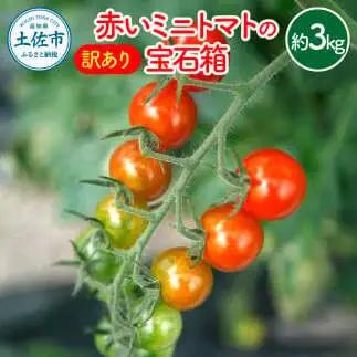 【先行予約】訳あり 赤いミニトマトの宝石箱 約3キロ 約3kg〈2026年11月下旬?2027年5月下旬まで〉高知県 土佐市【ファーム輝】 [BQBM011]