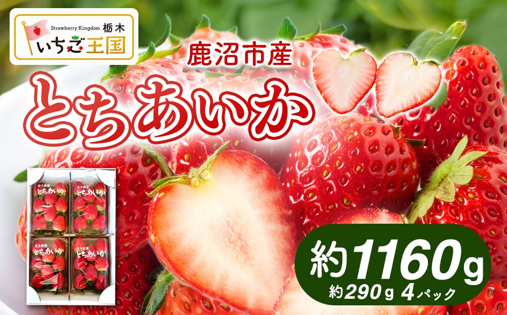 
                  【先行予約】出会いの森いちご園 とちあいか （290g×4パック） | いちご イチゴ 苺 栃木県 果物 くだもの フルーツ とちあいか 新鮮 贈答 ギフト デザート スイーツ ※離島への配送不可 ※2026年12月上旬頃から2027年3月下旬頃に順次発送予定
                