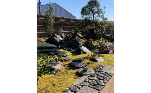 123-12　こけ専門農家直送!!スナゴケ（育苗トレー入り）6枚