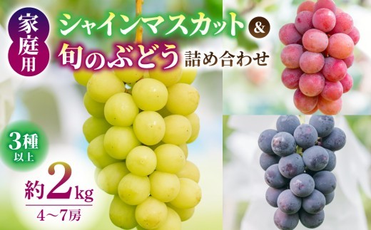 
                  【先行受付2026年発送】ご家庭用シャインマスカットと旬のブドウの詰め合わせ2kg（4～7房）｜果樹園清兵衛（種なし巨峰、シナノスマイル、クイーンニーナなど）※2026年9月中旬以降順次発送
                