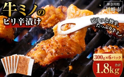 
                  牛ミノ ピリ辛漬け 1.8kg ( 300g × 6 ) ビールに合う お酒のお供 焼肉 おすすめ 小分け 使いやすい 焼くだけ 焼き肉 バーベキュー 味噌たれ漬け 冷凍 配送時期が選べる 個包装 冷凍保存 アウトドア キャンプ BBQ おすすめ 人気
                