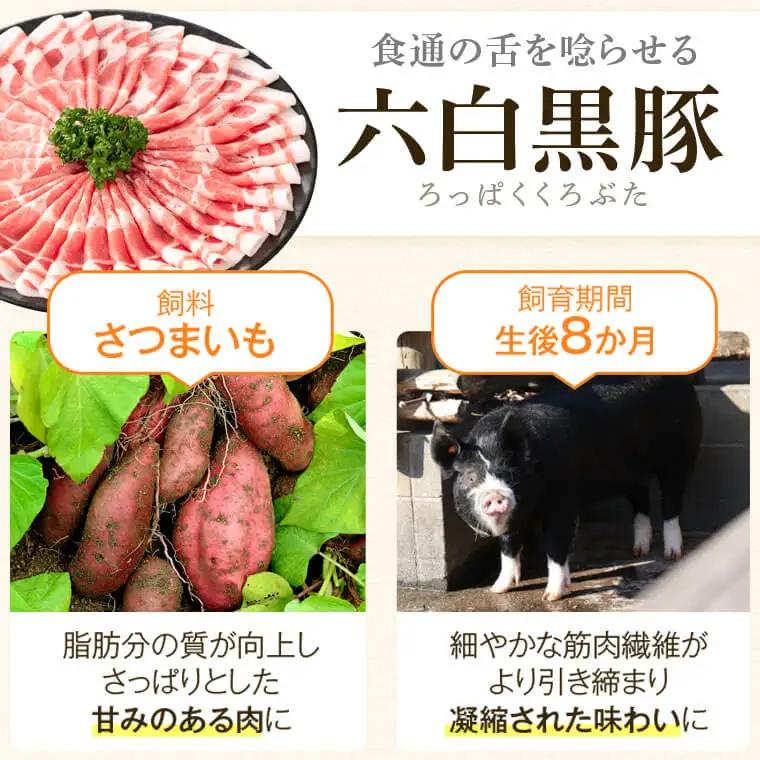 ＜定期便・全5回＞かごしま黒豚 ファミリーセットC 国産 豚肉 焼豚 餃子 しゃぶしゃぶ とんかつ【和田養豚】D02005