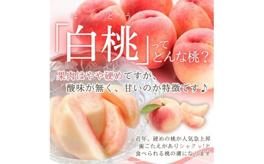 果肉はやや硬め、果汁は少なめですが酸味がなく甘いのが特徴です