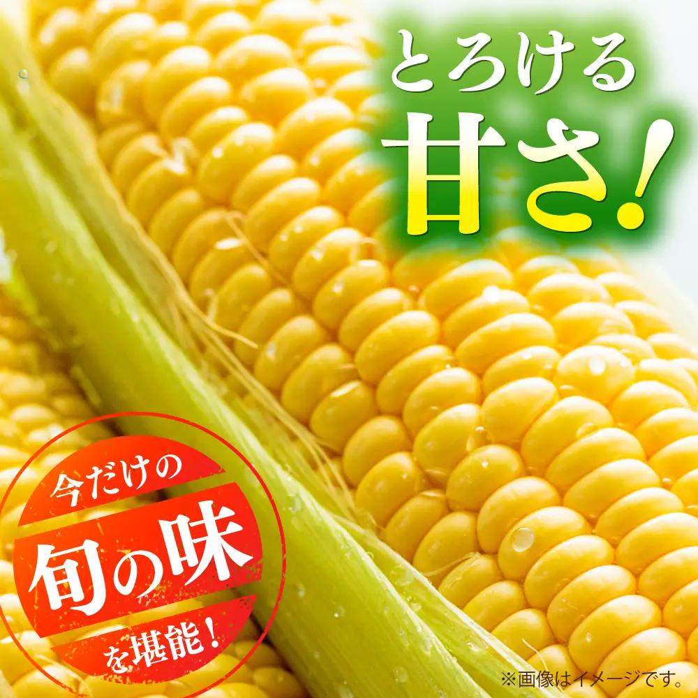 【先行予約】【2027年5月中旬より順次発送】スイートコーン(プレミアム味来) 約4kg スイートコーン[BHCJ004]