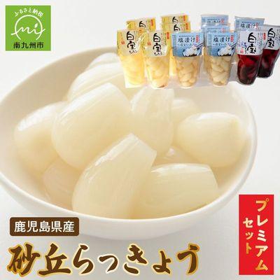 ふるさと納税 南九州市 鹿児島県産砂丘らっきょうプレミアムセット