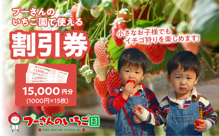 プーさんのいちご園　割引券（15,000円分）イチゴ狩り 高設栽培 多段式 バリアフリー 車椅子 子供 品種 完熟 摘みたて 新鮮 家族 清潔 福岡県 八女市 090-008
