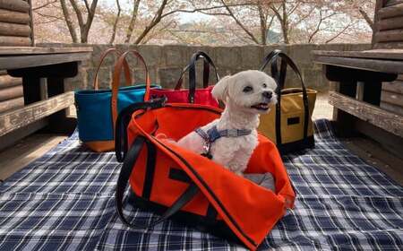 BiB (大) 【ブラック】トートバッグ ペット用 キャリーバッグ