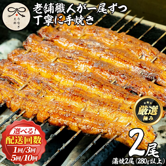 【ふるさと納税】鹿児島県産東串良町のうなぎ蒲焼・秘伝のタレ付き＜2尾・計280g以上/2尾・計280g以上×3回/2尾・計280g以上×5回/2尾・計280g以上×10回＞ うなぎ 高級 ウナギ 鰻 国産 蒲焼 蒲焼き たれ 鹿児島 定期便【うなぎ太郎】