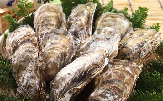釧路 福司酒造・北海道米使用の日本酒 海霧と牡蠣（中）10個のセット ふるさと納税 酒 牡蠣