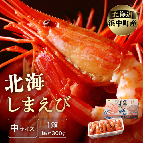 北海しまえび(中)　300g×1箱(17尾前後)_H0001-181