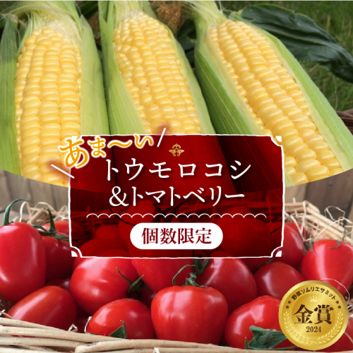 【2025年度予約分】あま～いトウモロコシ＆トマトベリー　長田農園しかできない夢の共演 【個数限定】 野菜ソムリエサミット 金賞 受賞 長田農園 産地直送 トマト とまと 野菜 やさい フルーツ サラ