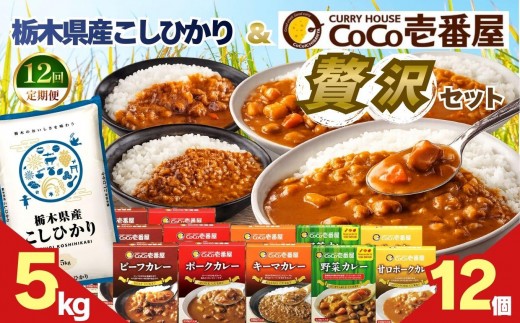 【定期便12回】ココイチ バラエティセット 合計12個 &コシヒカリ5kgの贅沢セット