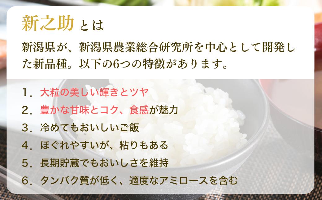 新米「新之助」 定期便 5kg 6か月 新潟県産 出雲崎町産 令和6年産 白米 精米 お米 合計30kg