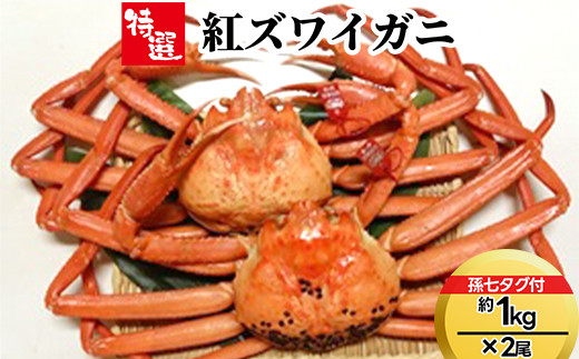 【特選】紅ズワイガニ約1kg×2尾（孫七タグ付）ずわい蟹 ずわいガニ ズワイガニ 紅ズワイガニ 紅ずわいがに カニ 蟹 かに かにしゃぶ カニしゃぶ 蟹しゃぶ かに鍋 カニ鍋 蟹鍋 かに味噌 カニ味噌 かにみそ 魚貝類 魚介類 ボイル 国産 富山 富山湾 北陸 富山カニ 北陸カニ 富山かに 北陸かに 富山蟹 北陸蟹 ※2026年9月～発送