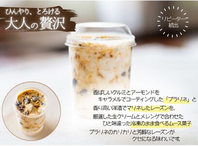 【定期便】おうちでレストラン ニューポート 人気のお勧めメニュー 3ヶ月定期便 [5839-2291]