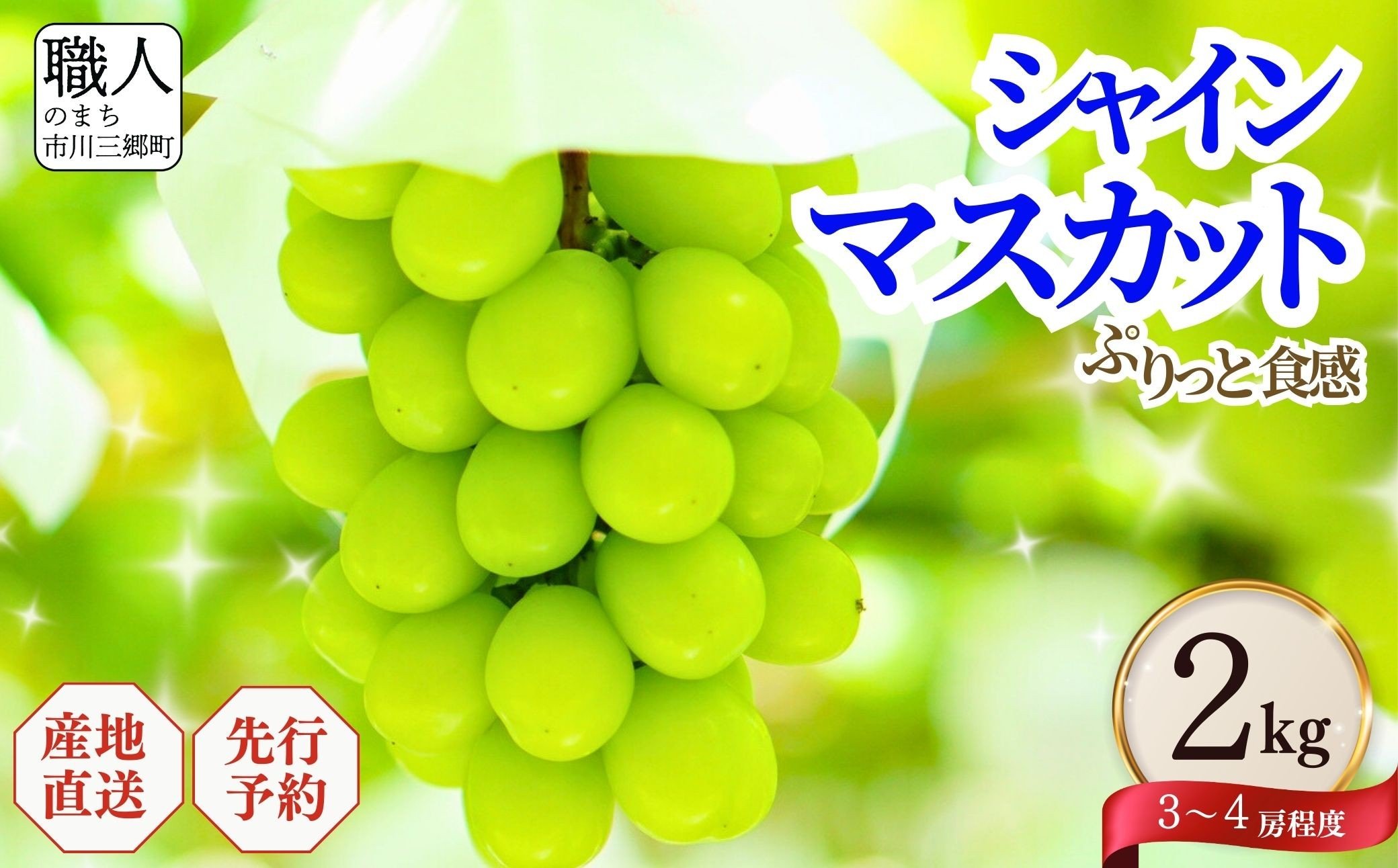 
                  シャインマスカット 【2026年発送】 山梨 2kg箱 ぶどう 葡萄 山梨県 市川三郷町 シャイン フルーツ 果物 くだもの ギフト 産地直送 人気 塩島農園 [5839-1220]
                