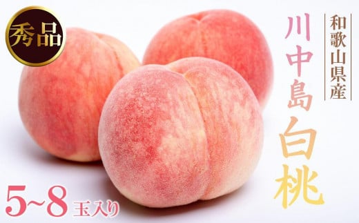 和歌山県産 川中島白桃 5～8玉入り 秀品 先行予約［2026年7月下旬以降発送］［MG7］