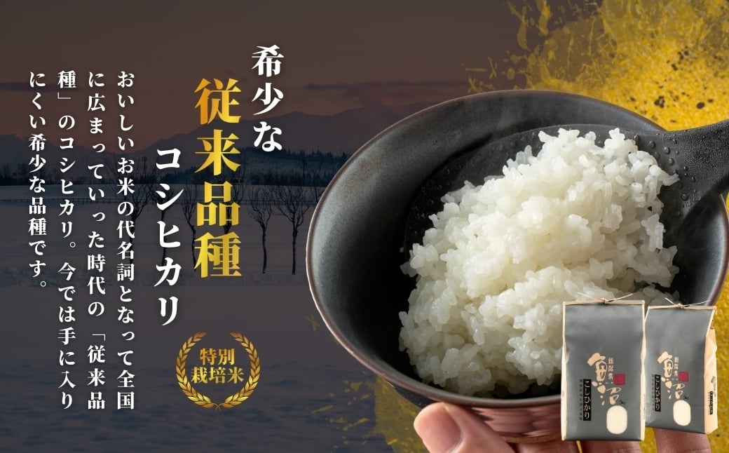 モチモチ食感と優しい甘み！ご飯だけで主役級の美味しさの希少原種コシヒカリ