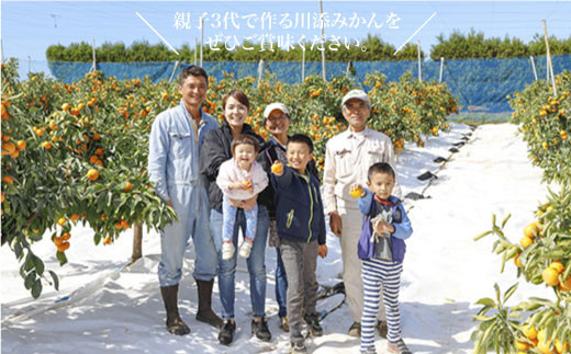 【11下旬より配送開始☆特秀品】原口みかん 約8kg（傷み保証分300g含む）＜川添みかん園＞ [CCT004] みかん