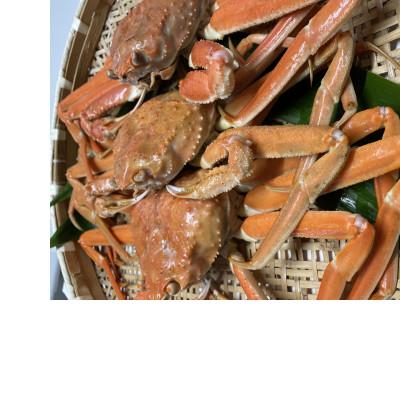ふるさと納税 村上市 【訳あり】浜茹で本ズワイガニ　足欠「雄ガニ　3杯(約900g)」1043007 |  | 01