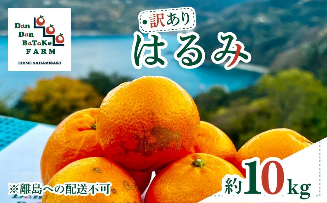 
            【先行予約】【訳あり】はるみ 約10kg | 柑橘 みかん 果物 フルーツ 愛媛県産 農家直送 　※離島への配送不可　※2026年2月上旬より順次発送予定【ふるさと納税 人気 おすすめ ランキング 柑橘 みかん ミカン フルーツ mikan 果物 オレンジ はるみDanDan BaTaKe FARM 愛媛県産 家庭用 愛媛県 伊方町 送料無料】 IKTAU005
          