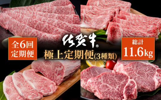 
【肉のプロが厳選！】【全6回】佐賀牛 極上 定期便【株式会社いろは精肉店】 [IAG078]
