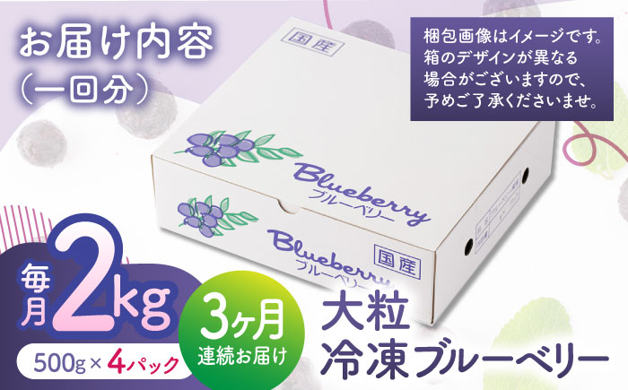 【3回定期便】大粒 冷凍ブルーベリー 約2000g（約500g×4pc） 【すみれファーム】 [ZEP016]