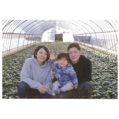 ふるさと納税 普代村 【先行受付】 新鮮 朝採れブロッコリー Mサイズ以上7玉 野菜 サラダ |  | 03