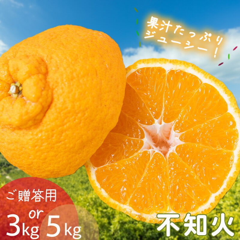 【ふるさと納税】 不知火（しらぬい）約3kgから約5kg ご贈答用【2月下旬から順次発送】でこぽんと同品種 柑橘類 先行 果物 フルーツ みかん シラヌイ みかん 果物 くだもの フルーツ おすすめ 高級 人気 お取り寄せ グルメ ギフト 期間限定 数量限定 ご当地 愛媛県 松山市