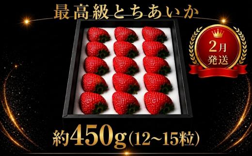 いちご【先行予約】【2027年2月発送】とちあいか贈答用 黒箱 いちご プレミアム ギフトBOX 約450g【栃木県 真岡市産】いちご 果物 イチゴ 苺 旬 産地直送 国産