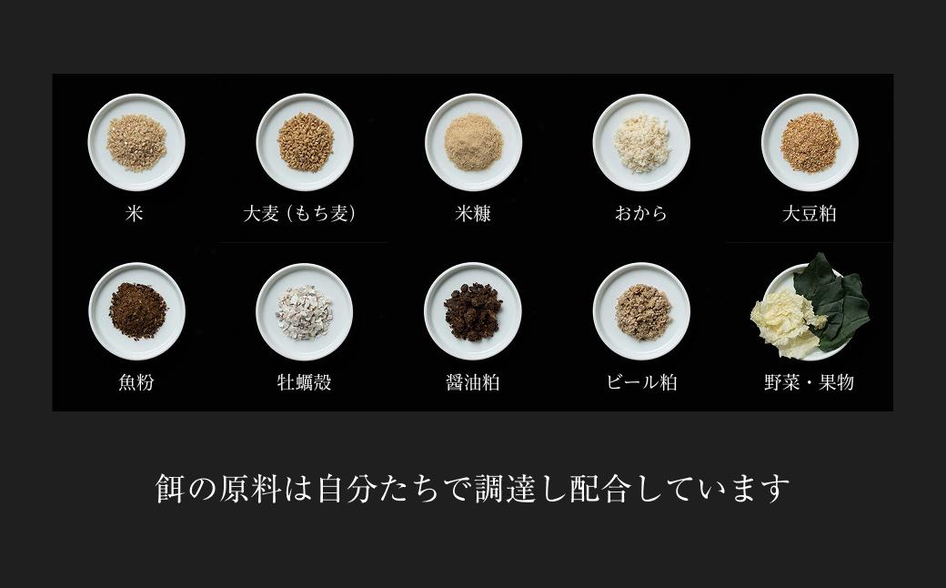 平飼い有精卵 20個《西粟倉村》【株式会社点々】t-SS-AmDA