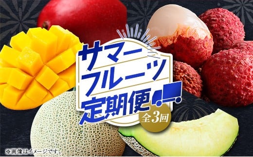 サマーフルーツ定期便 全3回＜メロン・マンゴー・ライチ＞ ※2026年5月開始 旬 果物【E244】